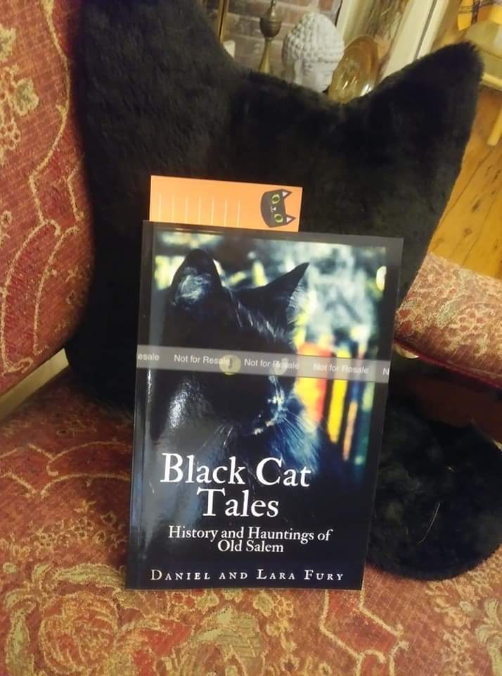 black cat tales book