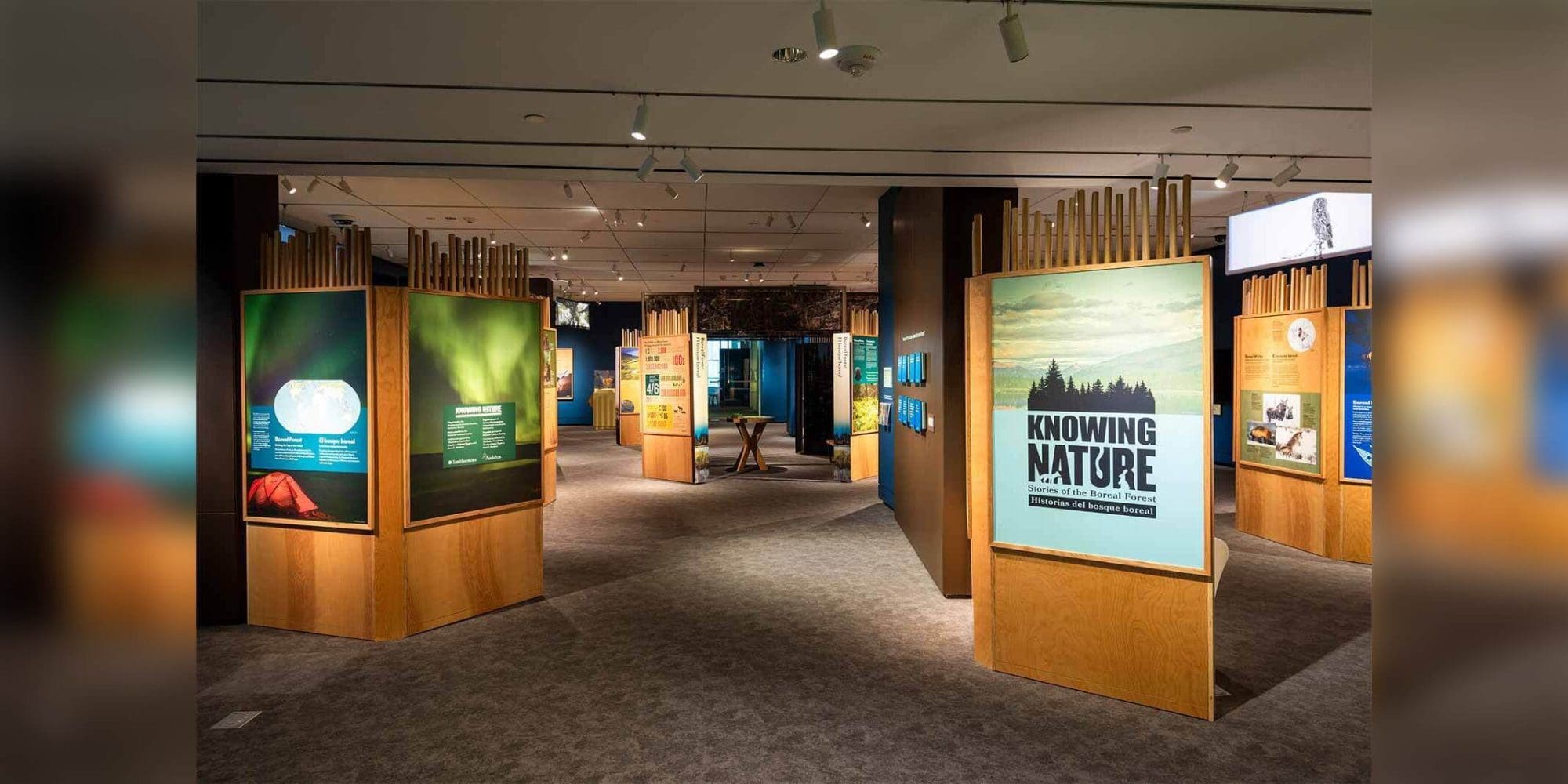 Curator-Led Exploration: Knowing Nature