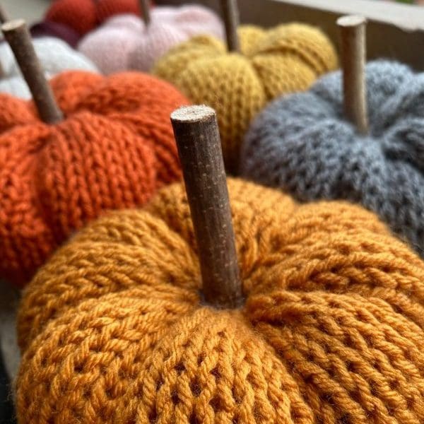 Beginner Knitting Night: Pumpkins